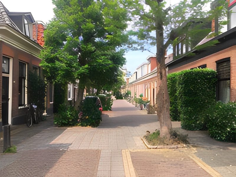 A street with trees and bushes on both sides of the road.